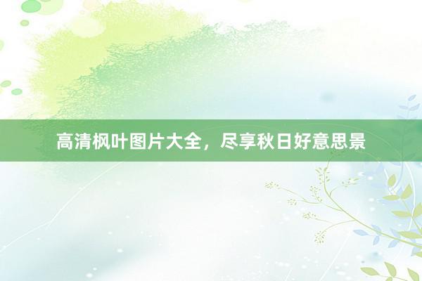 高清枫叶图片大全，尽享秋日好意思景