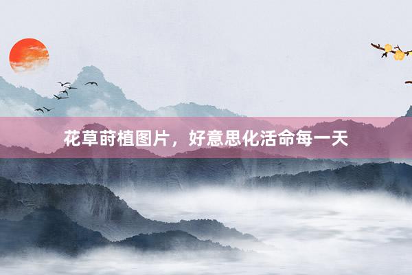 花草莳植图片，好意思化活命每一天