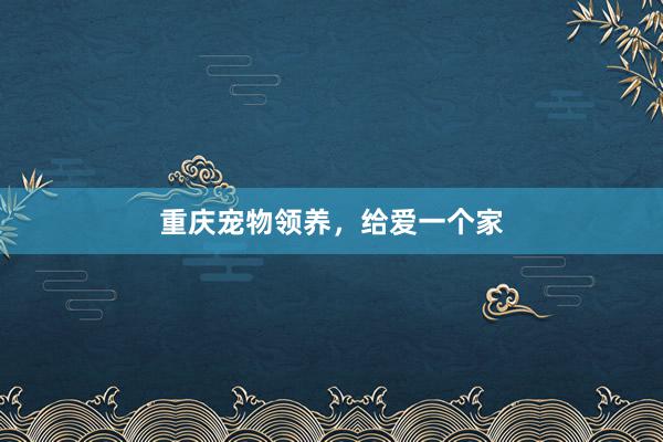 重庆宠物领养，给爱一个家