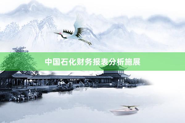 中国石化财务报表分析施展