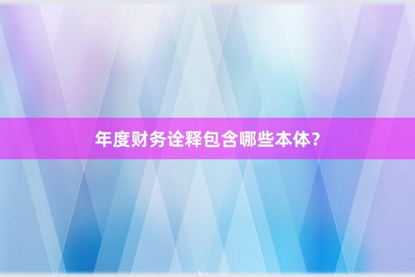 年度财务诠释包含哪些本体？
